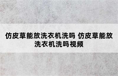 仿皮草能放洗衣机洗吗 仿皮草能放洗衣机洗吗视频